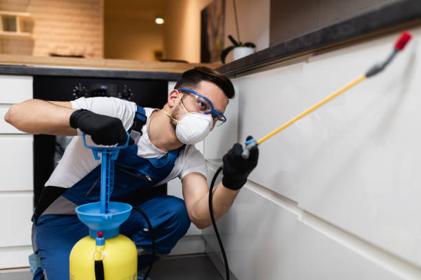 Best Rat Extermination Near Me  in Washburn, IL