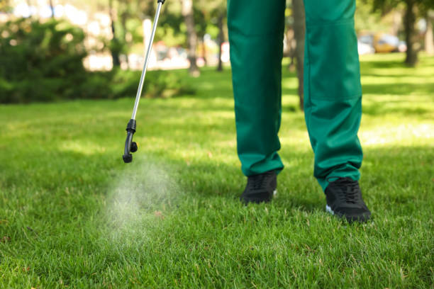 Best Best Pest Control Companies  in Washburn, IL
