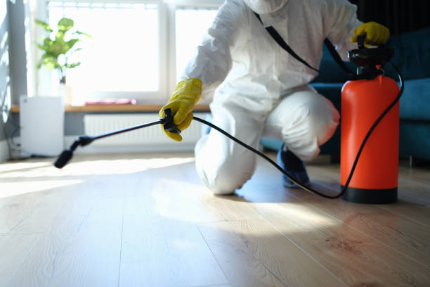 Best Mosquito Control Services  in Washburn, IL