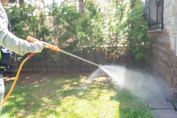 Best Flea Control Services  in Washburn, IL