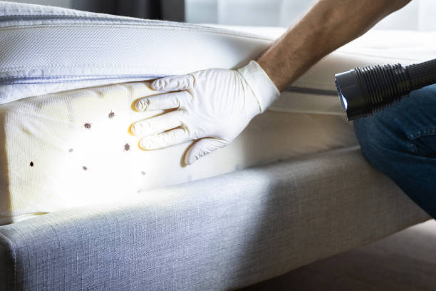 Best Commercial Pest Control Services  in Washburn, IL