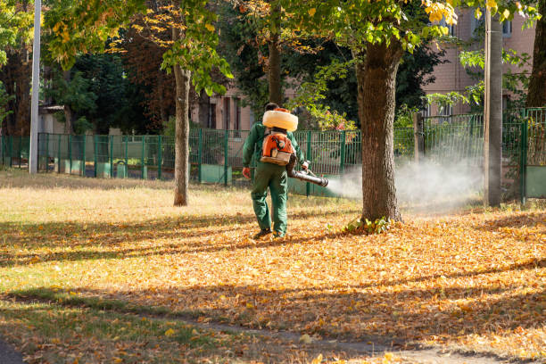 Pest Control for Restaurants in Washburn, IL