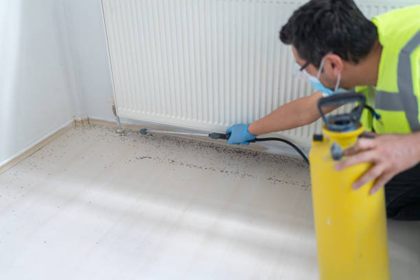 Best Pest Removal Services  in Washburn, IL