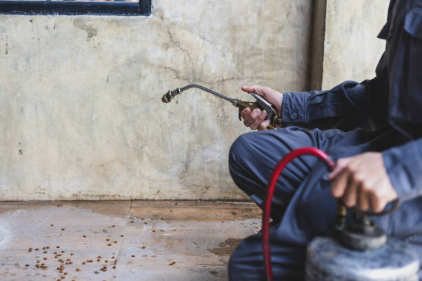Trusted Washburn, IL Pest Control Experts