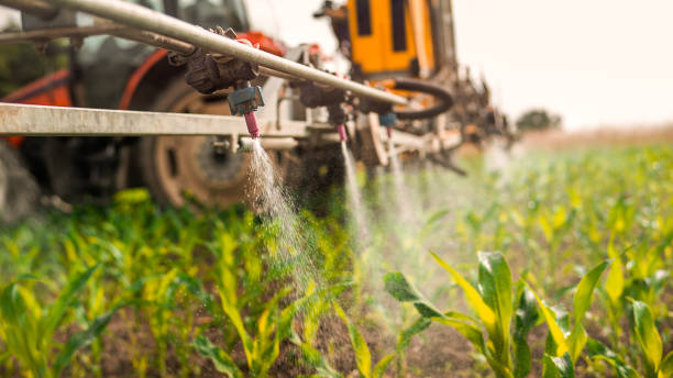 Best Pest Removal Services  in Washburn, IL